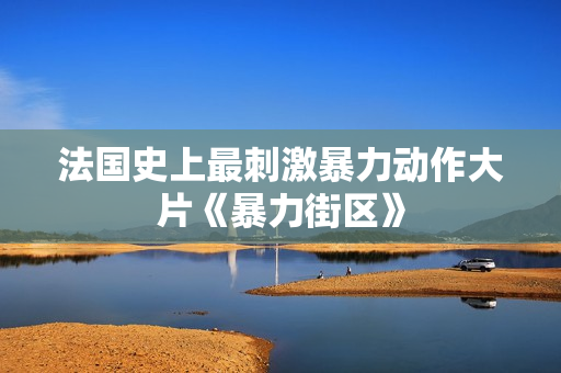 法国史上最刺激暴力动作大片《暴力街区》