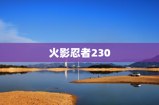 火影忍者230
