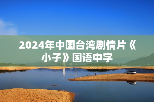 2024年中国台湾剧情片《小子》国语中字