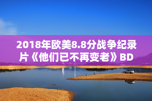 2018年欧美8.8分战争纪录片《他们已不再变老》BD中字