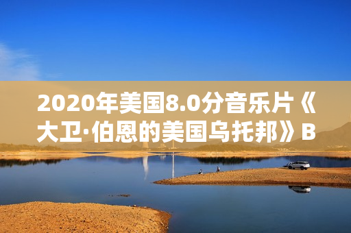 2020年美国8.0分音乐片《大卫·伯恩的美国乌托邦》BD中英双字
