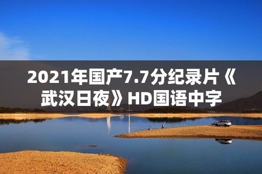 2021年国产7.7分纪录片《武汉日夜》HD国语中字