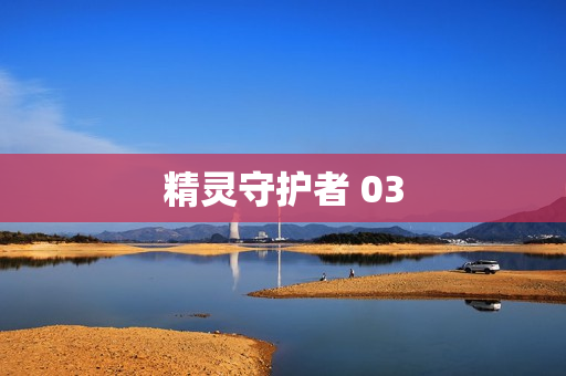 精灵守护者 03