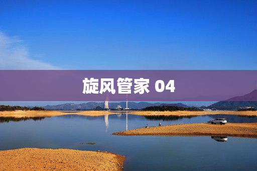 旋风管家 04