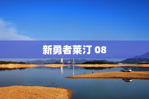 新勇者莱汀 08