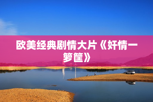 欧美经典剧情大片《奸情一箩筐》