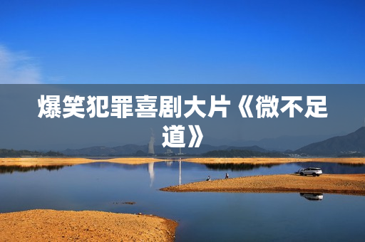 爆笑犯罪喜剧大片《微不足道》