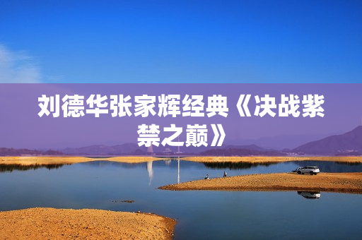 刘德华张家辉经典《决战紫禁之巅》