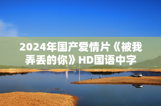 2024年国产爱情片《被我弄丢的你》HD国语中字