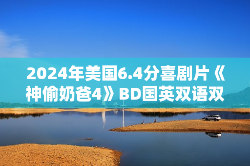2024年美国6.4分喜剧片《神偷奶爸4》BD国英双语双字