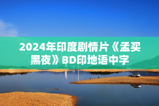 2024年印度剧情片《孟买黑夜》BD印地语中字
