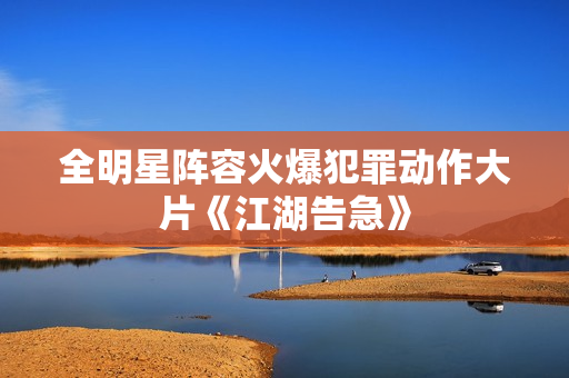 全明星阵容火爆犯罪动作大片《江湖告急》