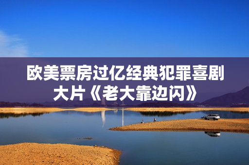 欧美票房过亿经典犯罪喜剧大片《老大靠边闪》
