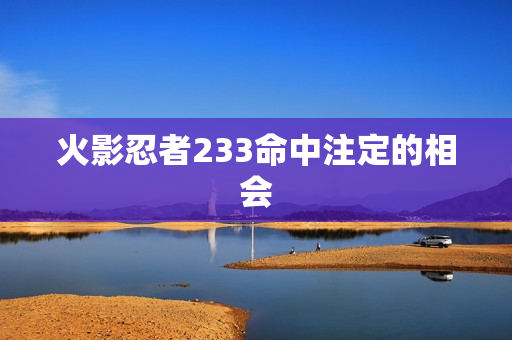 火影忍者233命中注定的相会