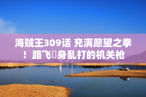 海贼王309话 充满愿望之拳！路飞渾身乱打的机关枪