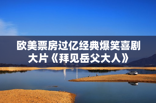 欧美票房过亿经典爆笑喜剧大片《拜见岳父大人》