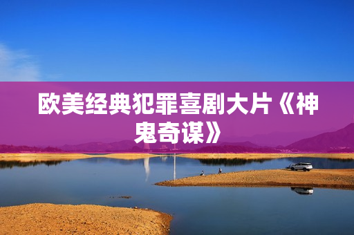 欧美经典犯罪喜剧大片《神鬼奇谋》