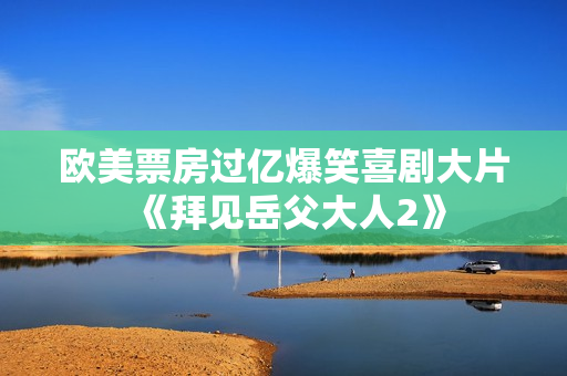 欧美票房过亿爆笑喜剧大片《拜见岳父大人2》