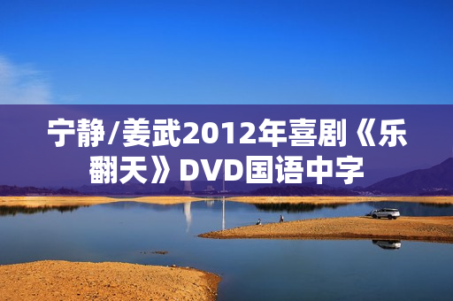 宁静/姜武2012年喜剧《乐翻天》DVD国语中字