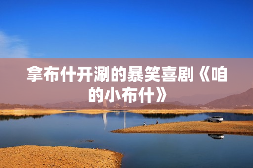 拿布什开涮的暴笑喜剧《咱的小布什》