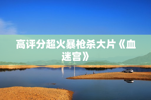 高评分超火暴枪杀大片《血迷宫》