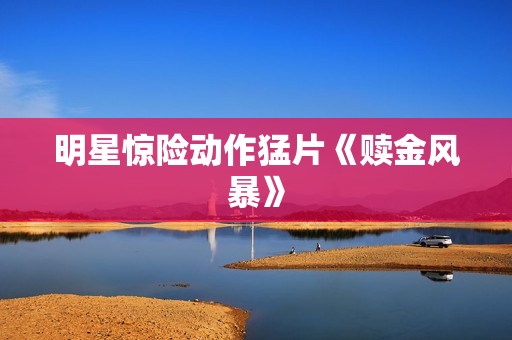 明星惊险动作猛片《赎金风暴》