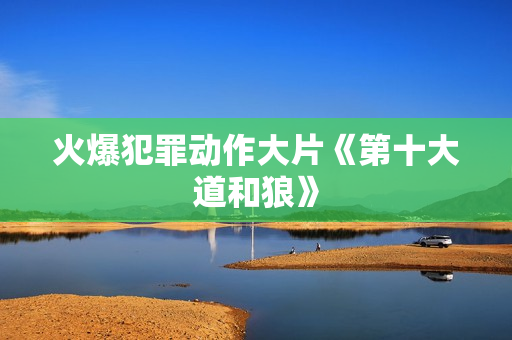 火爆犯罪动作大片《第十大道和狼》