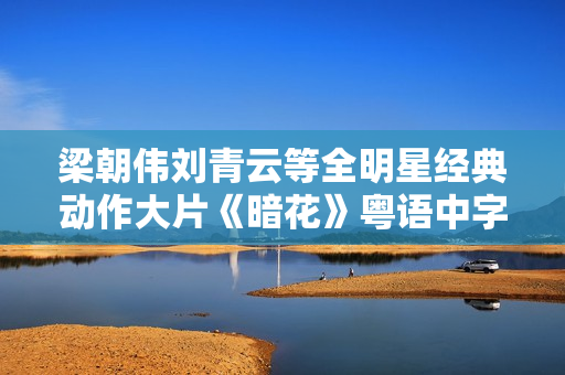 梁朝伟刘青云等全明星经典动作大片《暗花》粤语中字