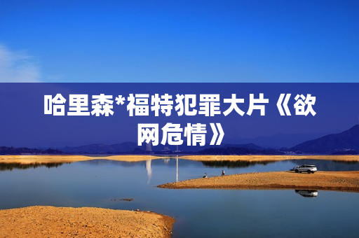 哈里森*福特犯罪大片《欲网危情》