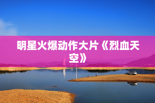 明星火爆动作大片《烈血天空》