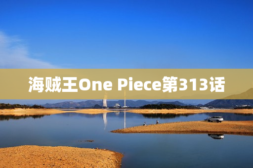 海贼王One Piece第313话