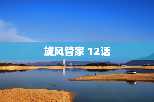 旋风管家 12话