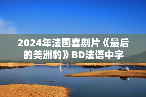 2024年法国喜剧片《最后的美洲豹》BD法语中字