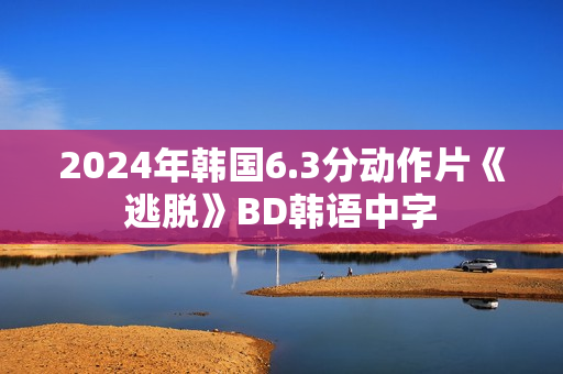 2024年韩国6.3分动作片《逃脱》BD韩语中字