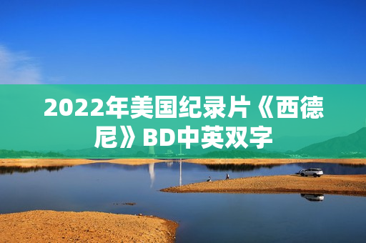 2022年美国纪录片《西德尼》BD中英双字