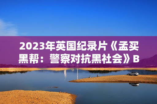 2023年英国纪录片《孟买黑帮：警察对抗黑社会》BD英语中字