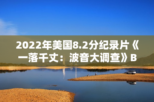 2022年美国8.2分纪录片《一落千丈：波音大调查》BD中英双字