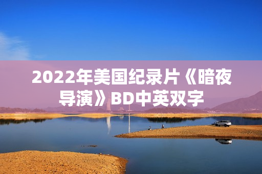 2022年美国纪录片《暗夜导演》BD中英双字