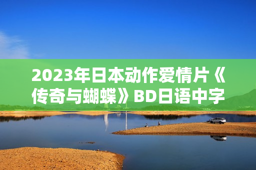 2023年日本动作爱情片《传奇与蝴蝶》BD日语中字