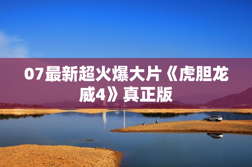 07最新超火爆大片《虎胆龙威4》真正版