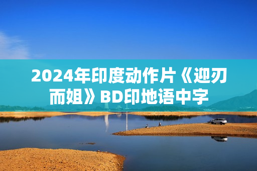 2024年印度动作片《迎刃而姐》BD印地语中字