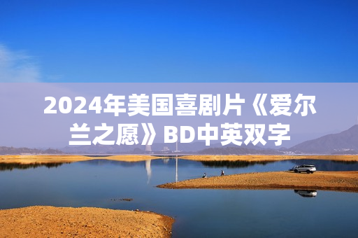 2024年美国喜剧片《爱尔兰之愿》BD中英双字