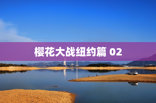 樱花大战纽约篇 02