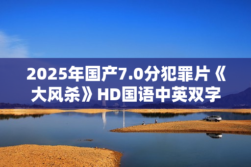 2025年国产7.0分犯罪片《大风杀》HD国语中英双字