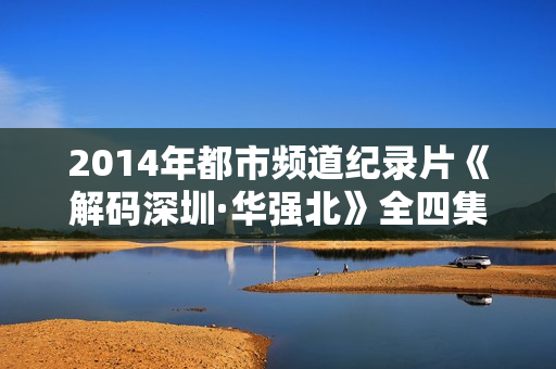 2014年都市频道纪录片《解码深圳·华强北》全四集