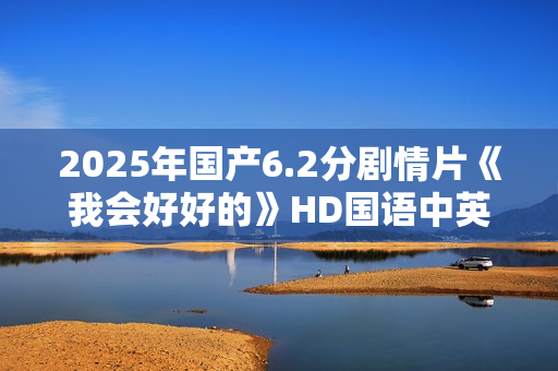 2025年国产6.2分剧情片《我会好好的》HD国语中英双字