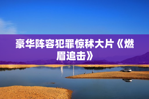 豪华阵容犯罪惊秫大片《燃眉追击》