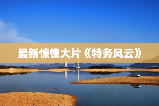 最新惊悚大片《特务风云》