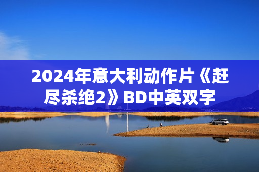 2024年意大利动作片《赶尽杀绝2》BD中英双字