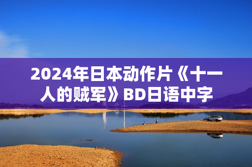 2024年日本动作片《十一人的贼军》BD日语中字